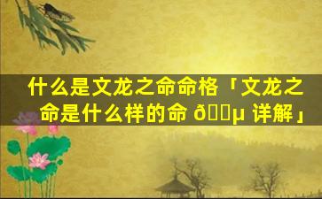 什么是文龙之命命格「文龙之命是什么样的命 🐵 详解」